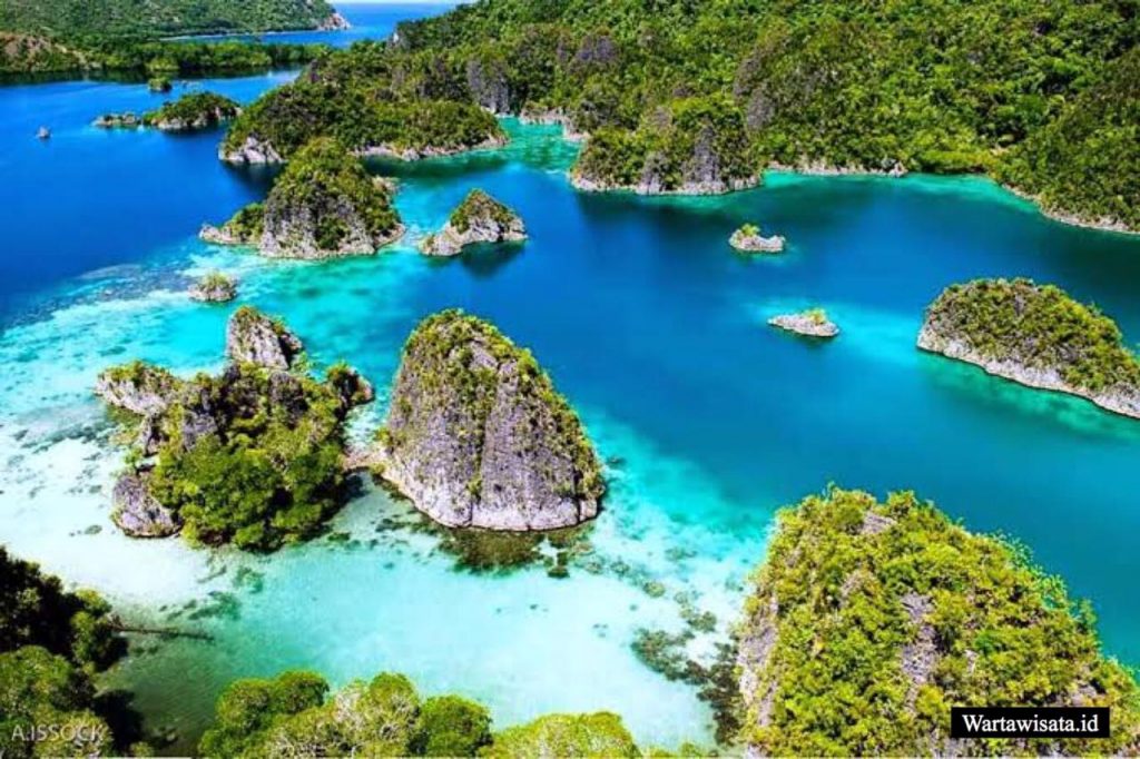 Taman Nasional Teluk Cenderawasih. (ist)