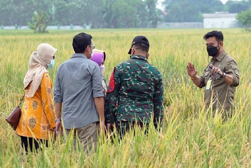Mentan Syahrul Yasin Limpo berada di sawah