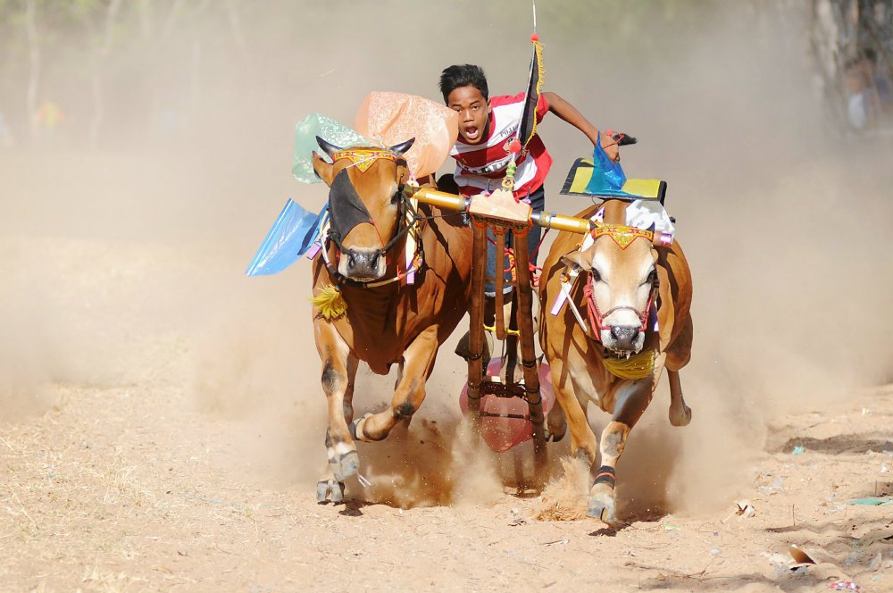 olahraga tradisional Indonesia