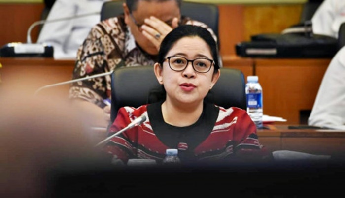 Ketua DPR RI Puan Maharani. (Ist).