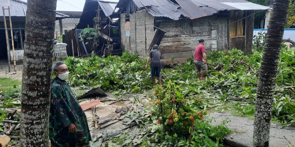 Pohon tumbang akibat angin kencang di Kabupaten Kepulauan Talaud, Provinsi Sulawesi Utara, pada Jumat (17/9/2021). (BPBD Kabupaten Kepulauan Talaud)