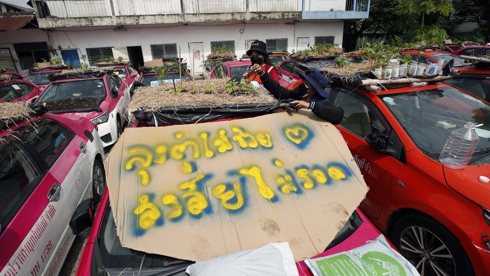"Perdana Menteri tolong kami" demikian tulisan yang muncul di atas kuburan taksi yang telah menjadi ladang sayur di Bangkok, Thailand