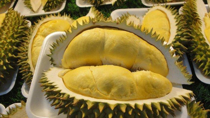 manfaat durian