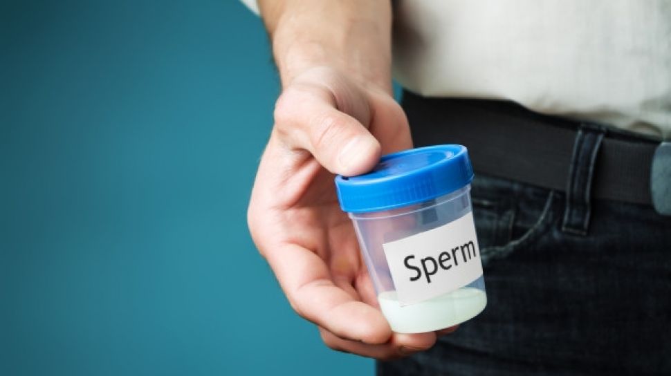 cara memperbanyak sperma
