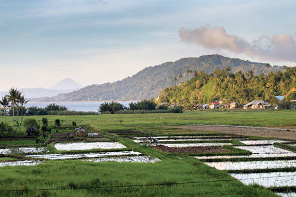 Pariwisata Sawah Potensi yang Perlu Digali di Tondano - Faktual Indonesia