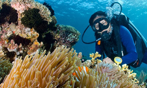 fakta menarik tentang raja ampat
