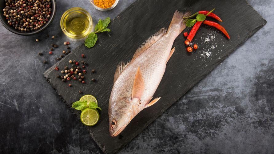 manfaat ikan barramundi
