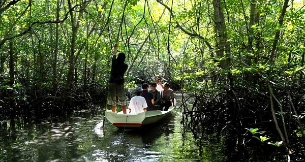 wisata di nusa lembongan