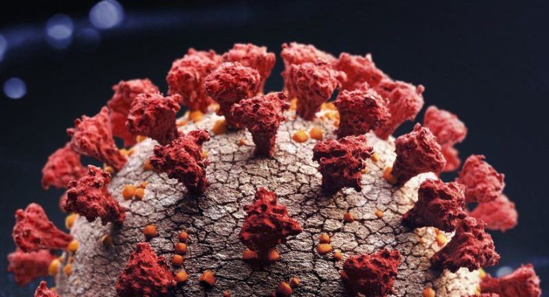 Omicron merupakan versi virus corona yang paling banyak bermutasi