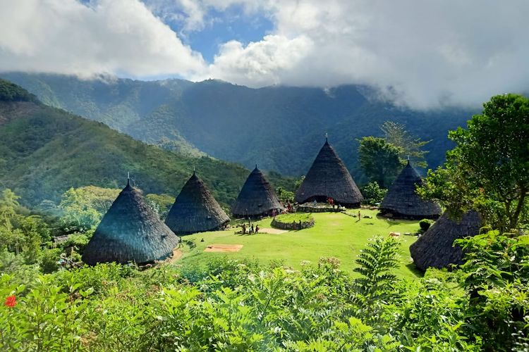 Rumah adat, hamparan rumput hijau dan kabut jadi pesona bernuansa magis menjadi daya tarik Desa Wisata Wae Rebo