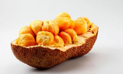 manfaat buah cempedak
