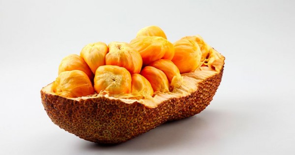 manfaat buah cempedak