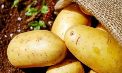 cara menghilangkan daki di leher