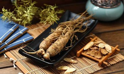 manfaat ginseng