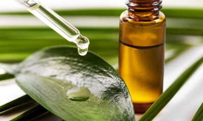 manfaat tea tree oil