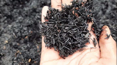 manfaat arang untuk tanaman