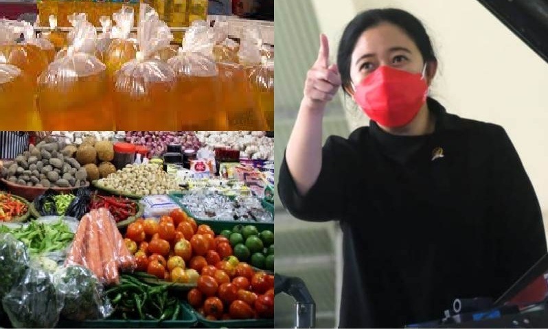 Ketua DPR RI Puan Maharani menilai persoalan harga minyak goreng yang mahal menjadi ironi