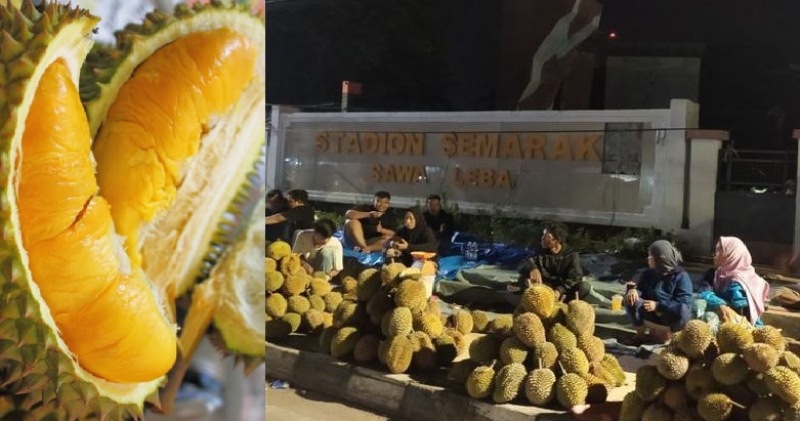 Buah durian dari Kabupaten Bengkulu terkenal berwarna kuning, memiliki daging buah yang tebal, namun biji yang kecil serta bau yang sangat tajam