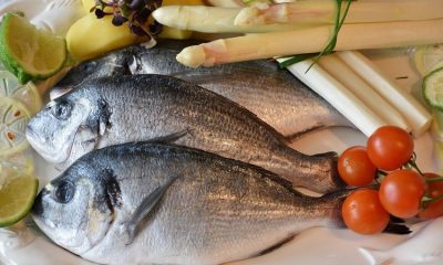 cara menghilangkan bau tanah pada ikan