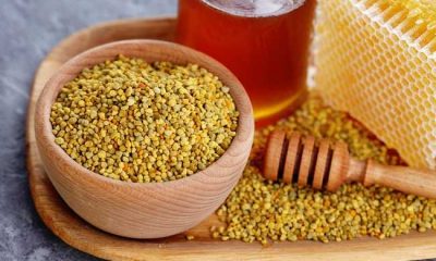 manfaat bee pollen