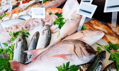 cara menyimpan ikan tanpa kulkas