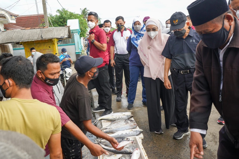 Wapres Ma'ruf Amin ketika memilih ikan di Pulau Cangkir. (Biro Pers Setwapres).