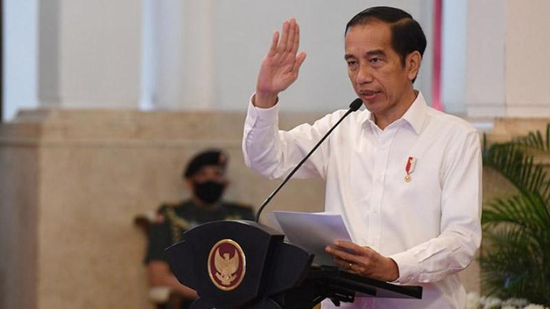 Presiden Joko Widodo,  penanganan krisis Ukraina harus dilakukan secara cermat agar bencana besar bagi umat manusia bisa dihindarkan