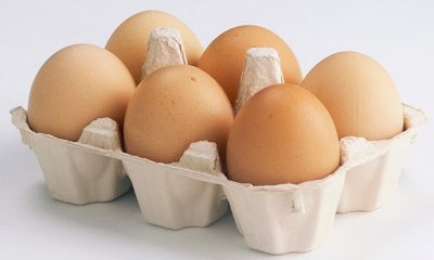 cara menyimpan telur