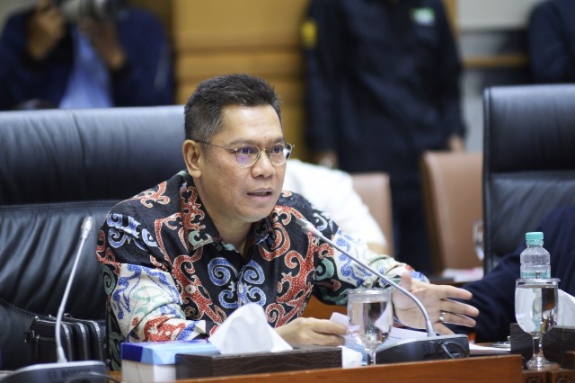 Wakil Ketua DPR RI Adies Kadir. (Ist).
