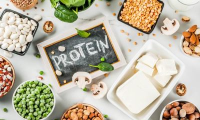 makanan sumber protein nabati