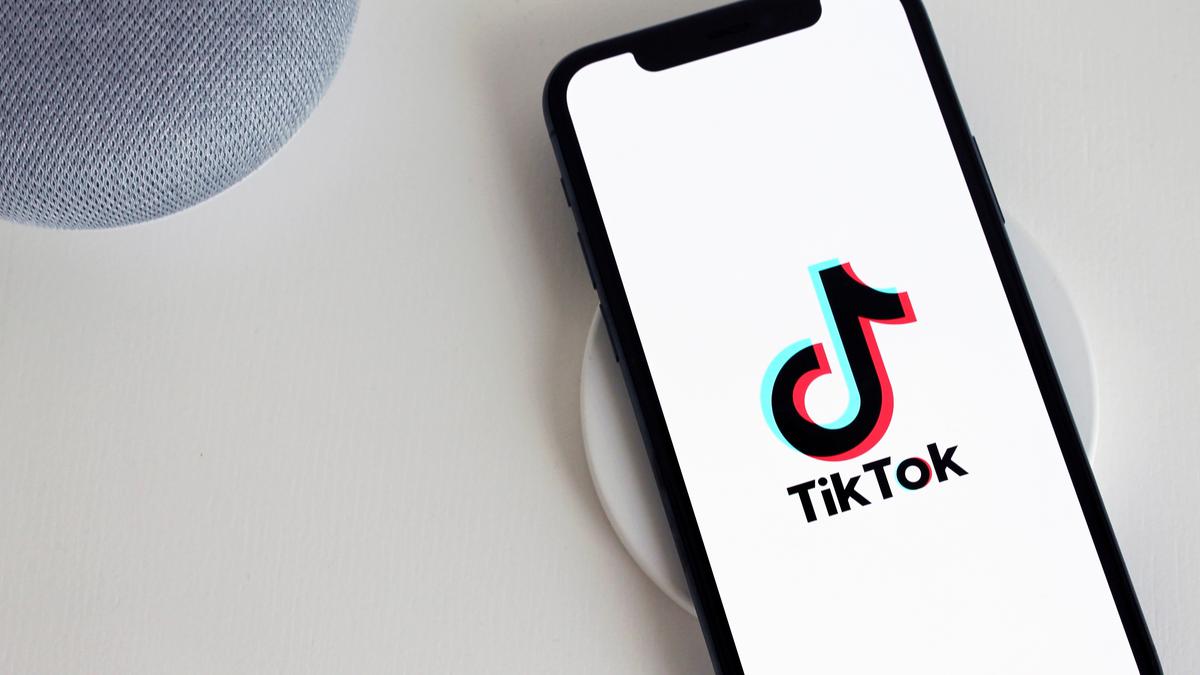 cara menghilangkan filter Rotoscope TikTok