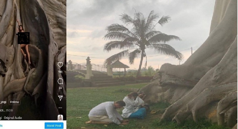 Fose telanjang dan sembahyang tobat turis wanita yang diduga asal Rusia di di Pohon Kayu Putih, Desa Adat Bayan, Desa Tua, Marga Tabanan, Bali