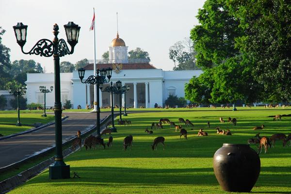 tips libur lebaran di Kebun Raya Bogor