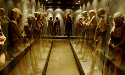 Museum Paling Menyeramkan di Dunia