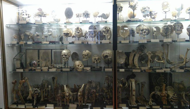 Museum Paling Menyeramkan di Dunia