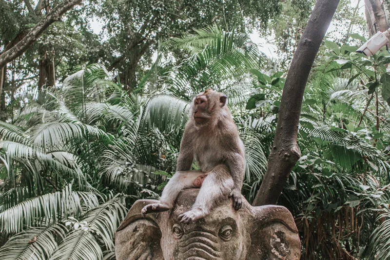 wisata keluarga di Bali