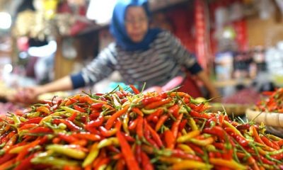 Harga Cabai Rawit di Palangka Raya
