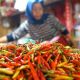 Harga Cabai Rawit di Palangka Raya