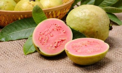 buah yang baik dikonsumsi seusai makan daging