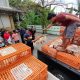 Peternak Unggas di Karang Anyar Bagikan Ayam dan Telur Gratis
