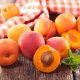 manfaat buah aprikot