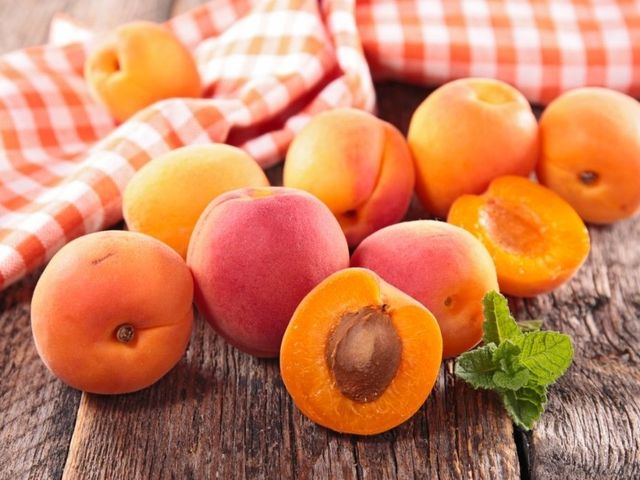manfaat buah aprikot