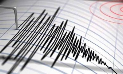 Gempa maluku tenggara