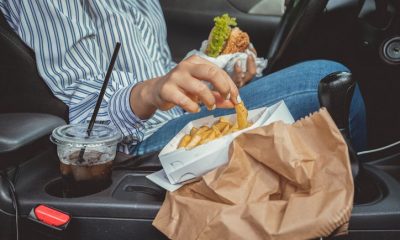 cara mengusir semut di kabin mobil