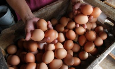 Pemprov Jabar Gelar Operasi Pasar Telur Ayam