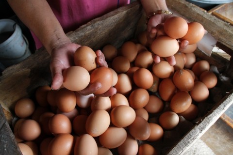 Pemprov Jabar Gelar Operasi Pasar Telur Ayam