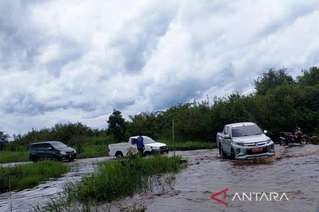 Sejumlah mobil melintas di Jalan Trans Kalimantan di wilayah Desa Tumbang Nusa, Kabupaten Pulang Pisau yang terendam banjir akibat meluapnya Sungai Kahayan, Kamis (27/10/2022). (Ant)