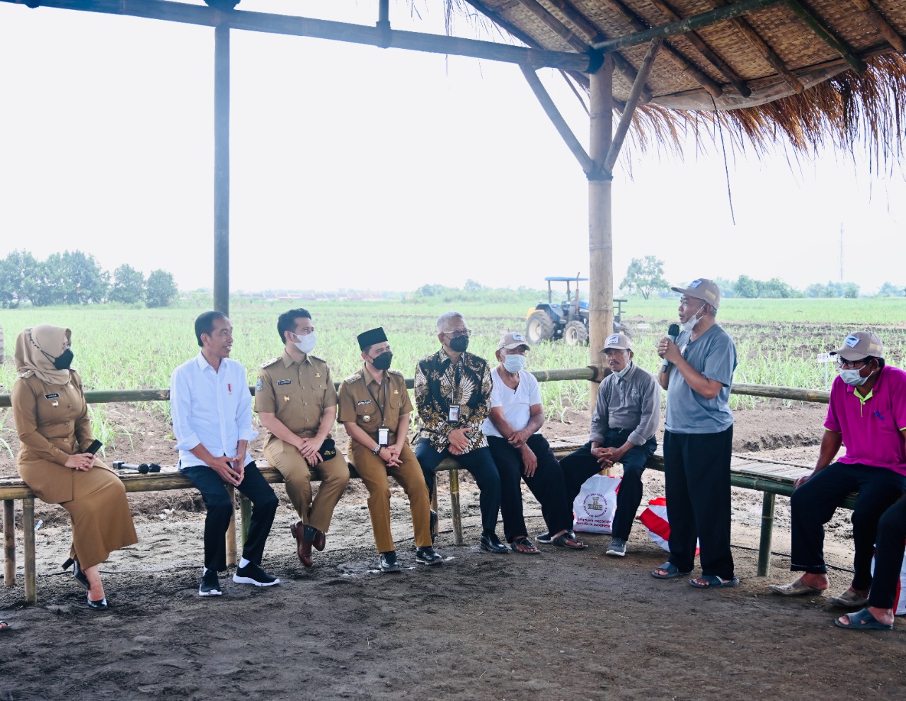 Presiden Jokowi juga berdialog dengan pakar tebu dari Brasil, dr. Plinio dan petani tebu di Kebun Tebu Temu Giring, Kabupaten Mojokerto, Jawa Timur, Jumat (4/11/2022). (BPMI Setpres/Laily Rachev)