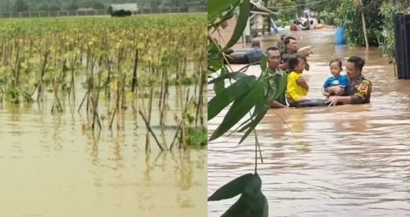Areal sawah di Karawang, Jawa Barat (Jabar) yang terendam dan Aparat kepolisian membantu evakuasi korban banjir. (Ant)