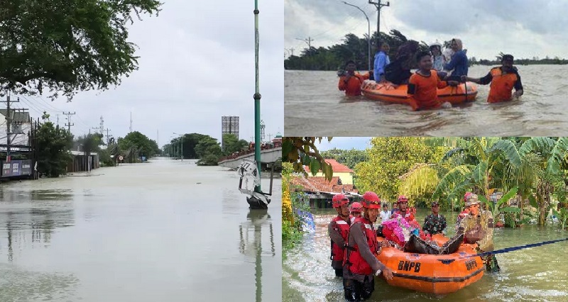 Jebolnya tanggul kiri Sungai Wulan itu bukan saja mengakibatkan bencana banjir di Kabupaten Demak, meluas namun juga jalur Pantura Demak-Kudus, Jawa Tengah, terputus dan ribuan warga mengungsi